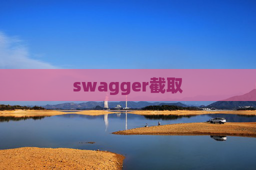 swagger截取